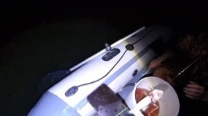 рыбалка на перемёт наконец то крупные судаки поймались