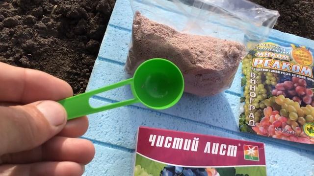 Подкормка винограда до цветения. смотреть онлайн