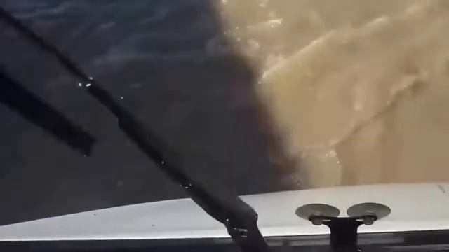 Плывем... Куда плывем?