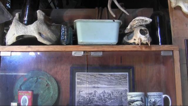 Lens_ В гостях у С. Л. Пасенюка, Командоры.