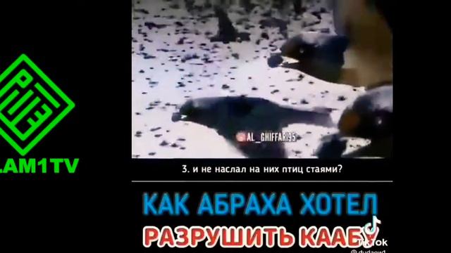 Как АБРАХА ХОТЕЛ РАЗРУШИТЬ КААБУ смотреть онлайн