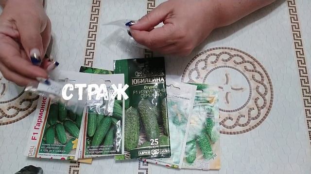 Огурцы семена лучшие самоопыляемые пучковые длительного плодоношения смотреть онлайн