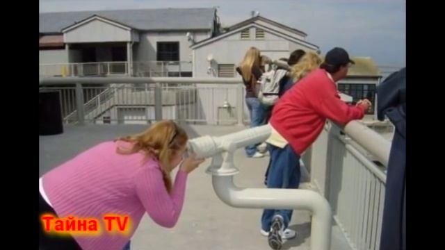 ПОКАЗАЛОСЬ! ТОП 20 ПРИКОЛЬНЫХ ФОТОСЕССИЙ смотреть онлайн