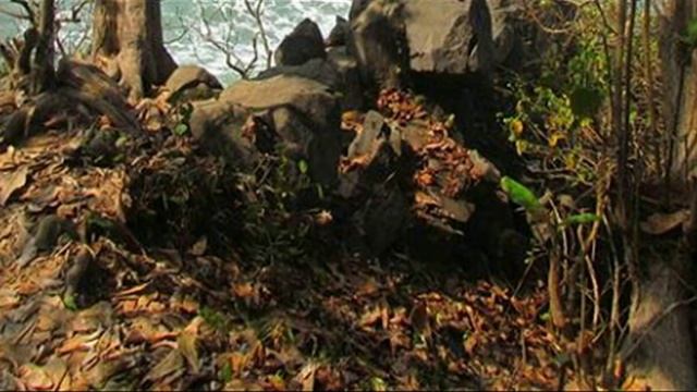 Jolosutro Beach Blitar East Java Indonesia | Pantai Jolosutro, Blitar Indonesia смотреть онлайн