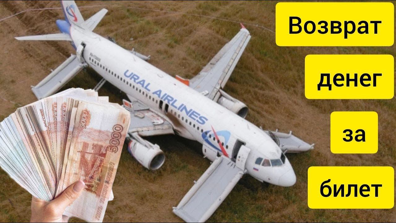 Путешествия с улыбкой