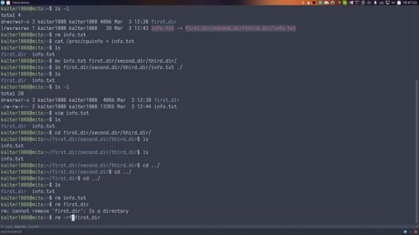 Введение в Linux. EP1