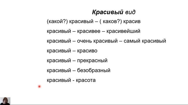 5 класс-Русский язык-Правописание окончаний имён прилагательных 060520 смотреть онлайн