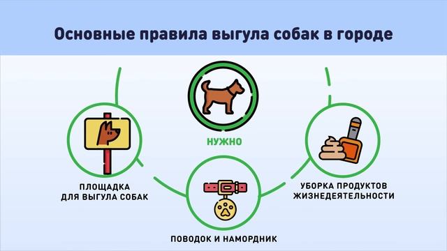 Основные правила выгула собак в городе смотреть онлайн