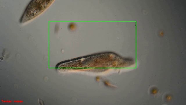 Object tracking test with OpenCV - MOSSE tracker (720p) смотреть онлайн