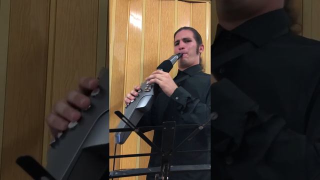 What a Wonderful world con Roland AE-10 смотреть онлайн