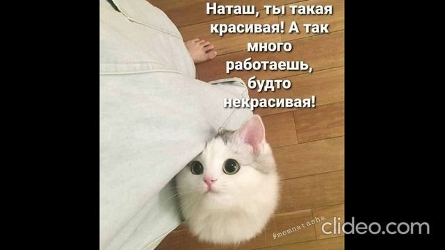 перед завтраком 25.06 смотреть онлайн
