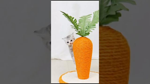 Когтеточка из жгута для кошек и котов #товары_с_алиэкспресс смотреть онлайн