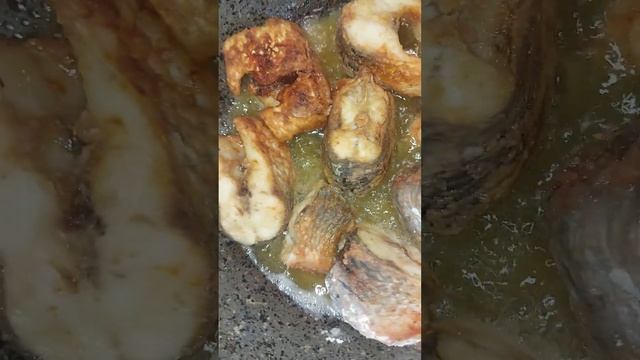 Творческий Путь