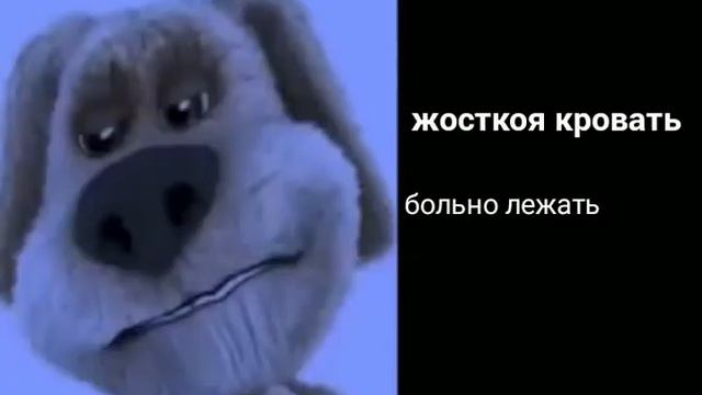 на чём ты будешь спать: (грустные лица) смотреть онлайн