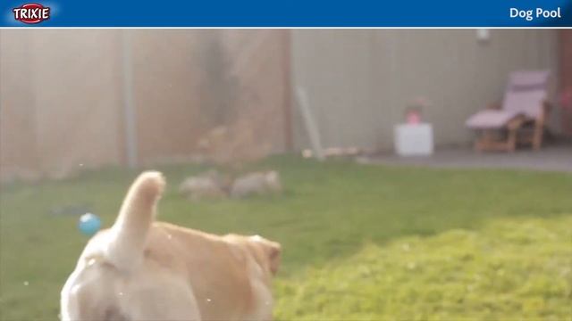 Бассейн для домашних животных TRIXIE (Трикси) Бассейн для собак смотреть онлайн