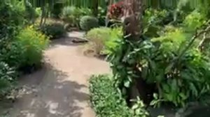 Северные острова Нячанга экскурсия. Залив Ня Фу. Пятнистые олени, наглые обезьяны, страусы и медвед