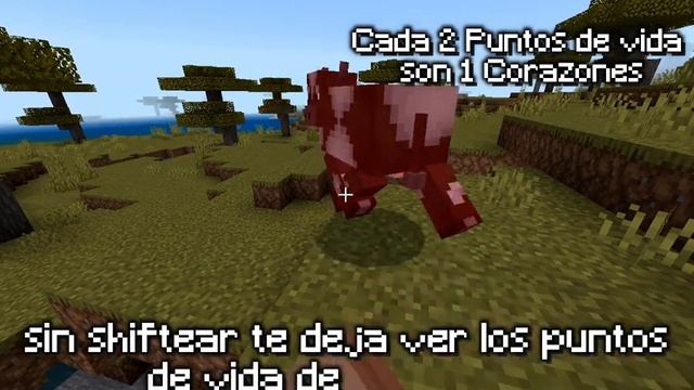 [1.18/1.19] What Am I Looking At Addon MCPE смотреть онлайн