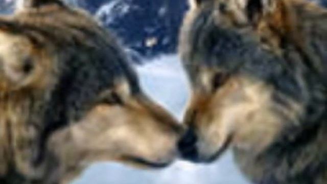 Половинка сердца.wmv смотреть онлайн