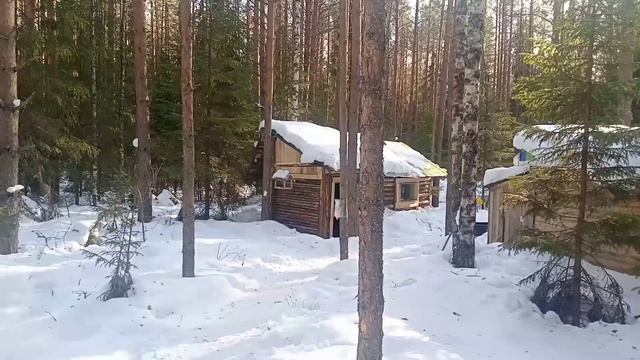 Вот это подарок. Открыли коробочку и ОФИГЕЛИ! Приехали в лес с детьми на отдых. смотреть онлайн
