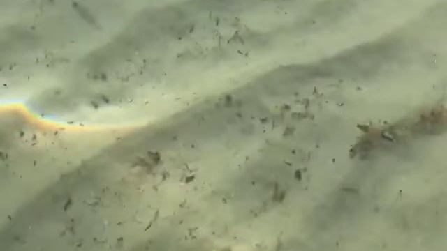Летом на море смотреть онлайн