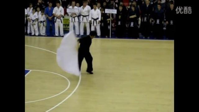 Chen Taijiquan. Master Liu Guanglai (刘广来) смотреть онлайн