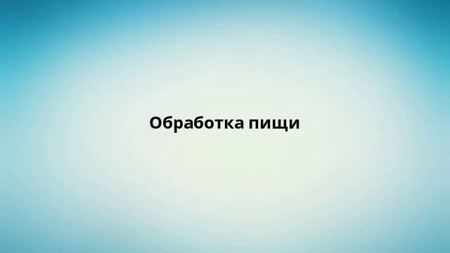 Обработка пищи