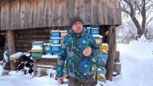 ОСНОВНЫЕ ОШИБКИ ПЧЕЛОВОДА ПРИ ЗИМОВКЕ ПЧЁЛ, ПРОВОЦИРУЮЩИЕ НА РАСПАД КЛУБА И ЧЕРВЛЕНИЯ МАТКИ.