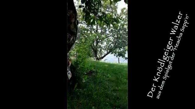 Der Knödlgeiger Walzer - Sterische Harmonika смотреть онлайн