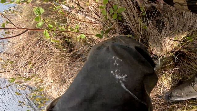 Рыбалка в Карелии смотреть онлайн