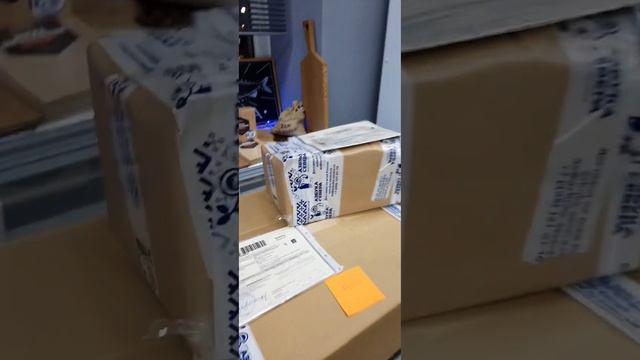 По всей России, в Казахстан и Беларусь сегодня уезжают наши вкусные деликатесы🔥👍 #азбукасевера смотреть онлайн