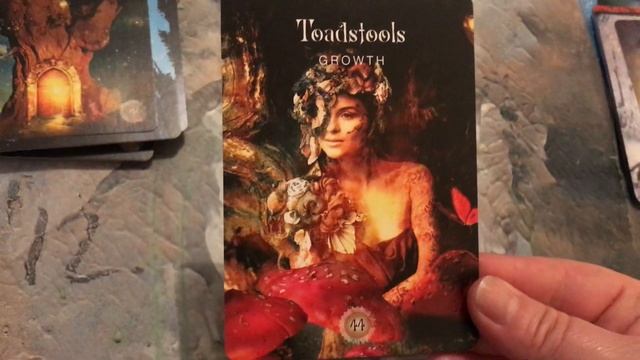 Dwie nowe wyrocznie - ?Sacred Forest oracle & The ?Priestess of Light oracle - prezentacja ❗️ смотреть онлайн