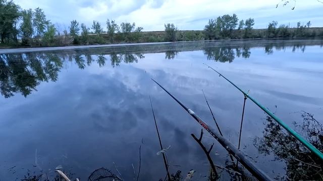 Рыбалка на поплавок 3 июля 2023!Дикие караси атакуют всё.Полная жесть ведро карася за час. смотреть онлайн