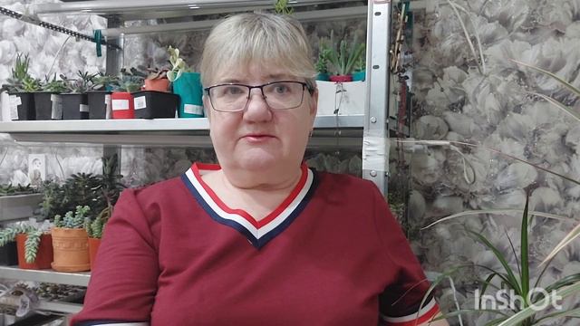 #мояколлекция ПРИНИМАЮ ЭСТАФЕТУ | МИР ИРИНЫ |ПЕРЕДАЮ ЭСТАФЕТУ ☆☆☆ смотреть онлайн