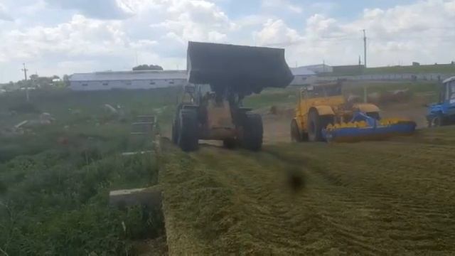 Трамбовка силоса (сенажа) трамбовщиком КТ 3 (водоналивной). Заготовка кормов смотреть онлайн