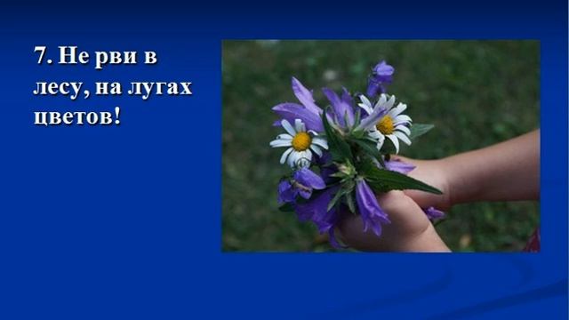 Оренбургская телешкола: 5 класс Биология смотреть онлайн