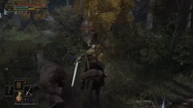 Гаччи медведь смотреть онлайн