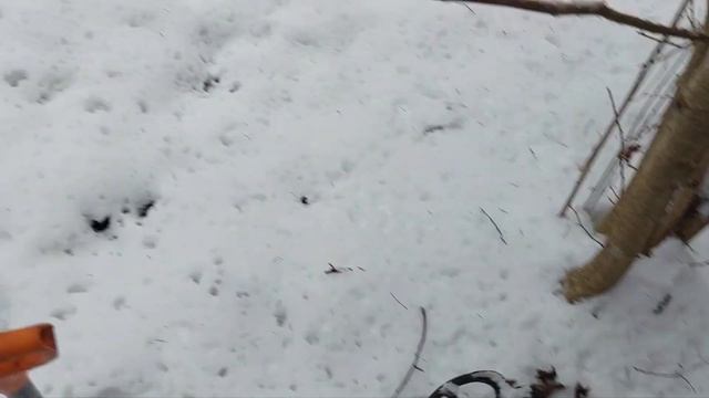 НАШЕЕЕЕЛ!!!!!!!!!.Старый Лесной Мост. Металлокоп В Суровых Зимних Условиях. смотреть онлайн