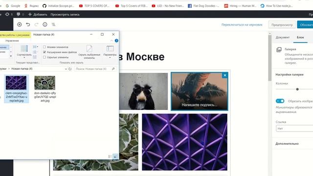 Галерея в Gutenberg в WordPress смотреть онлайн