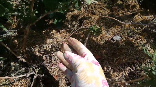 Домашний ужин для всей семьи 