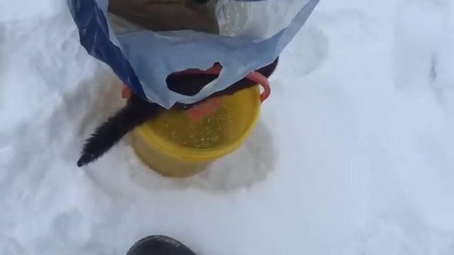 Норильск рыбалка смотреть онлайн