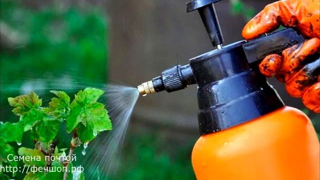 3 правила, которые по закону не имеют права делать соседи по даче, но делают. смотреть онлайн