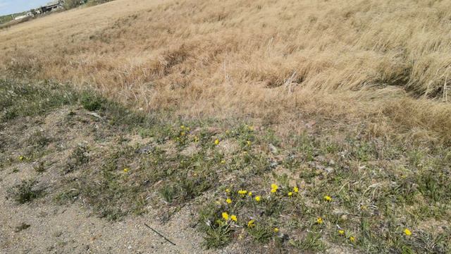 VID_20240518_150257.mp4