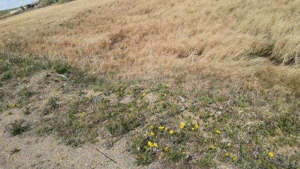 VID_20240518_150257.mp4