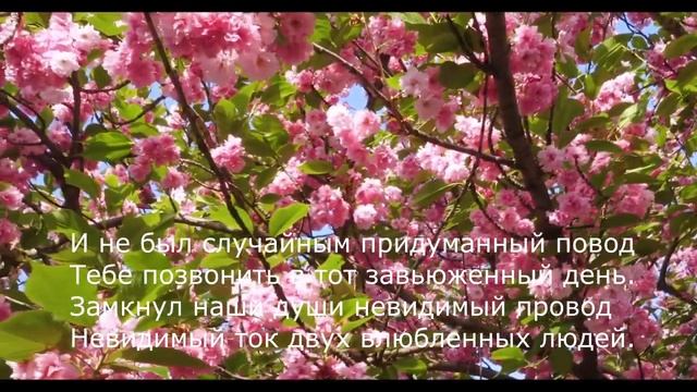 Андрей Дементьев - Две жизни вместил тот единственный вечер смотреть онлайн