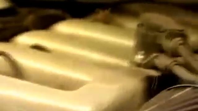 Победа XXI века авто тюнинг Made in Russia смотреть онлайн