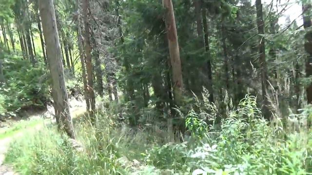 шлепки и Карпаты, соло-поход Торуньский перевал - о.Синевир смотреть онлайн