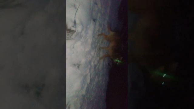 Куда пропала мама???Мама всегда была дома... смотреть онлайн