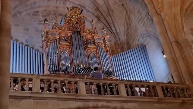 Misa en la Catedral de Cáceres - Coro San Jerónimo el Real