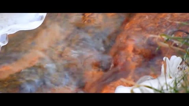 Nikon P610 [video Test] 2k18