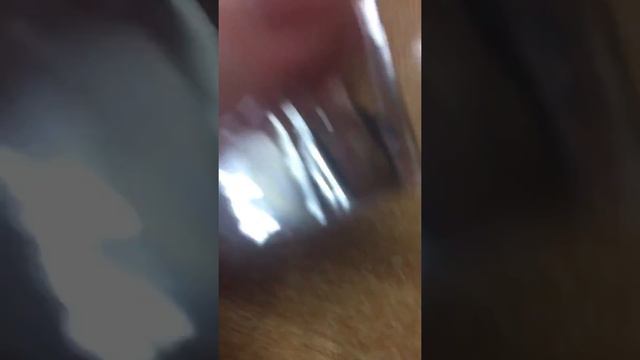 Как зделать игрушку для животных в новогодним стиле просто и быстро👍 смотреть онлайн